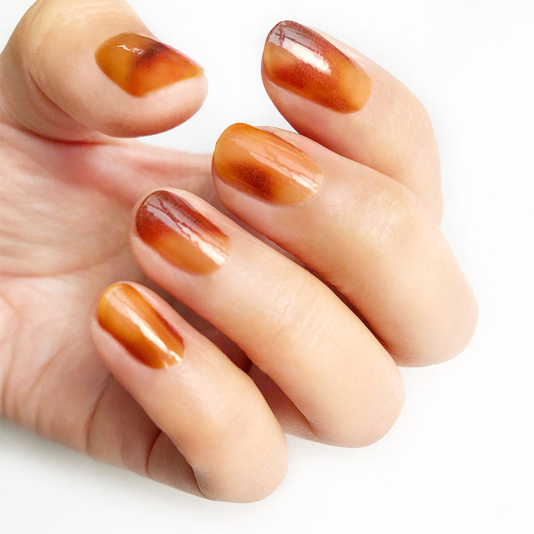 スペシャルセット ブラウン系 (2024 Special Set Brown)