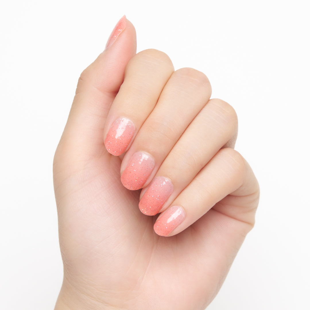 ビギナーセット ピンク (Beginner Set Pink)