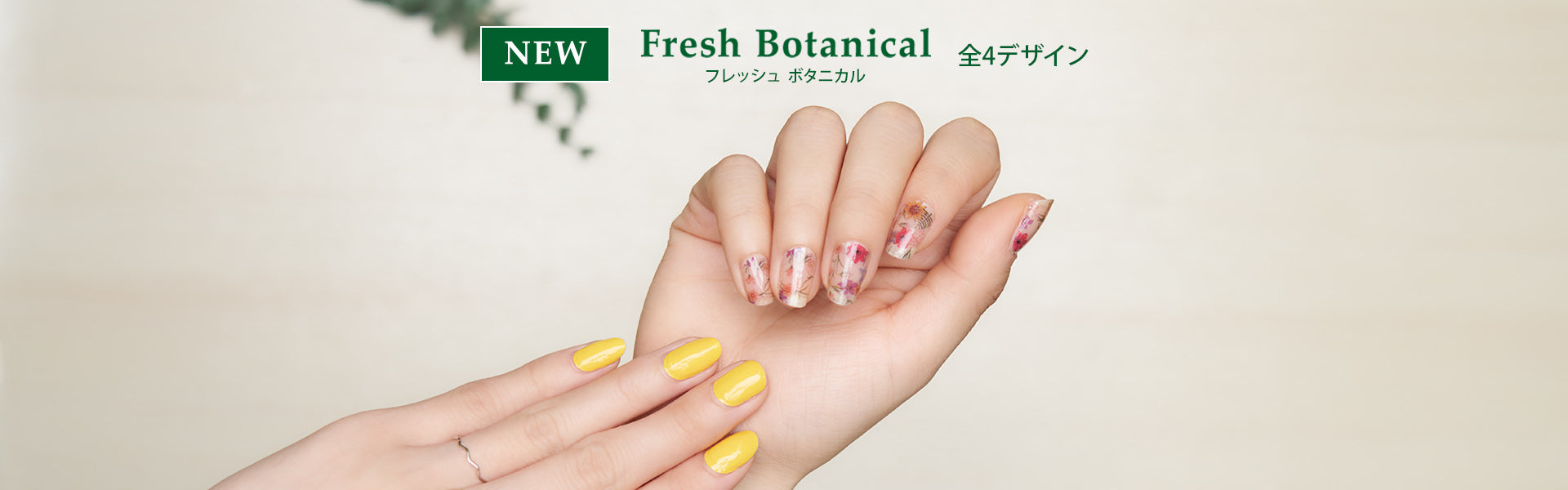 フレッシュ ボタニカルヘッダー画像