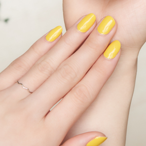 レモンスクイーズ  (Lemon Squeeze)