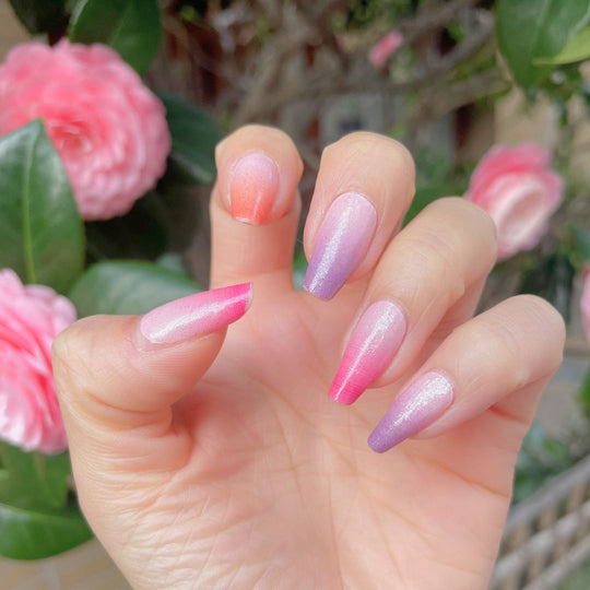 フルーツタルト (Fruit Tart)