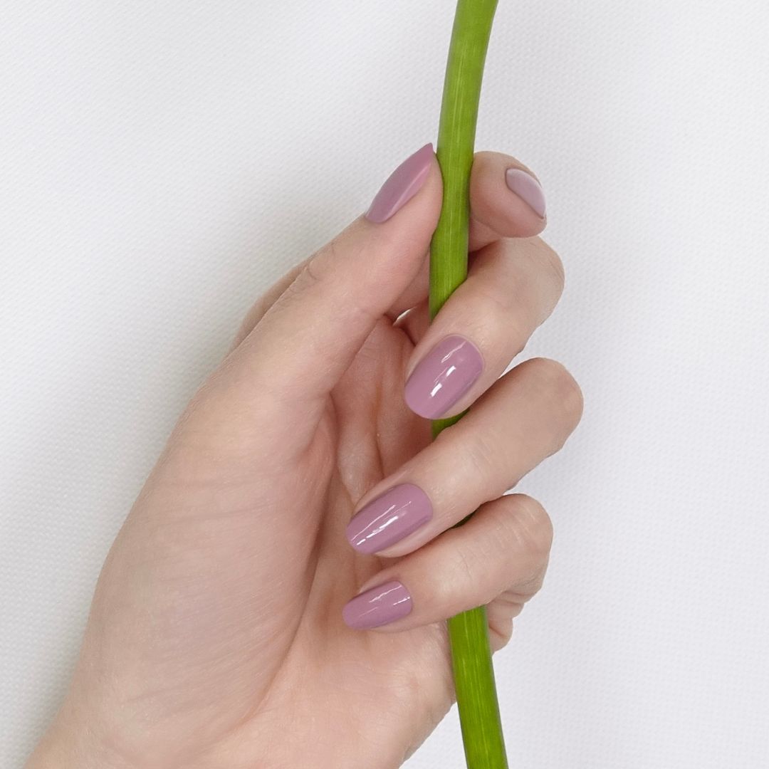 モダンモーブ (Modern Mauve)