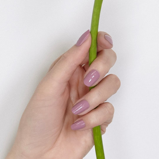 モダンモーブ (Modern Mauve)