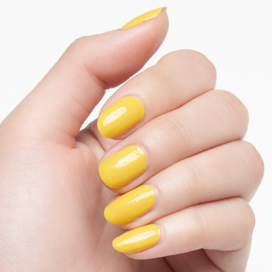 レモンスクイーズ  (Lemon Squeeze)