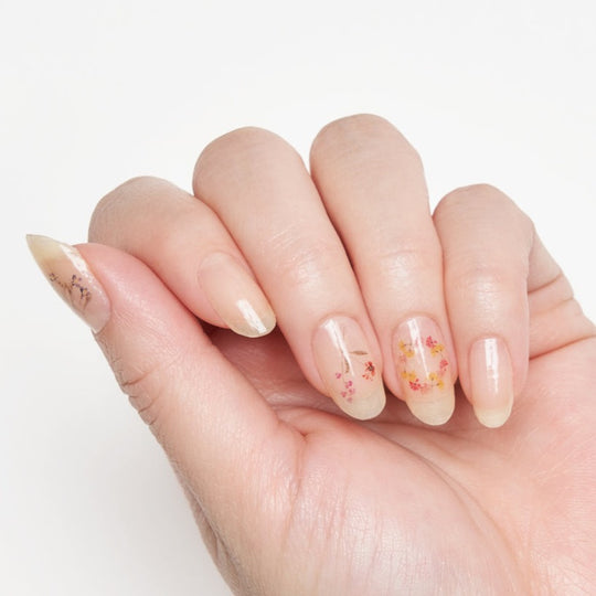 メドウソング (Meadow Song)