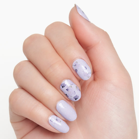 パンジーパラダイス (Pansy Paradise)